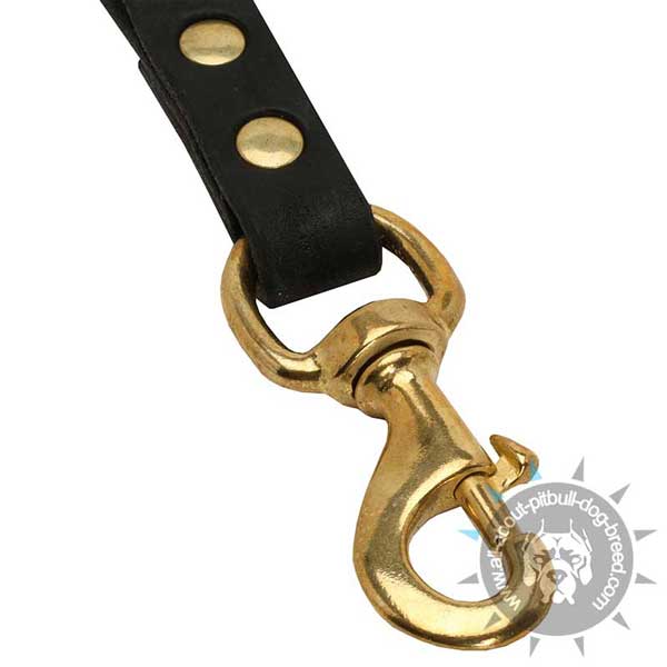 Strong Snap Hook on Pull Tab Pitbull Leash