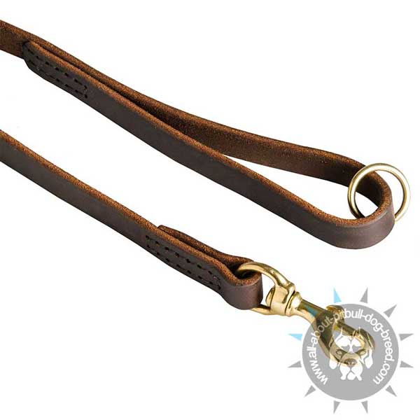 Strong Snap Hook on Leather Pitbull Leash
