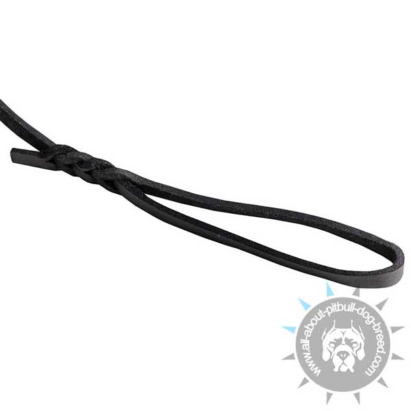 Soft Comfy Handle on  Pitbull Leash