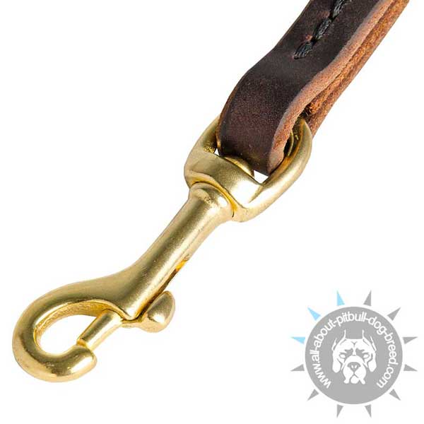 Strong Snap Hook on Leather Pitbull Leash
