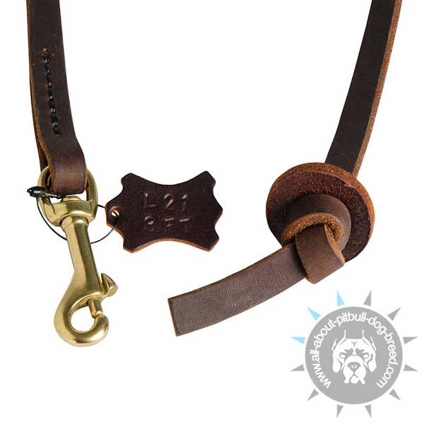 Strong Snap Hook on Pull Tab Pitbull Leash