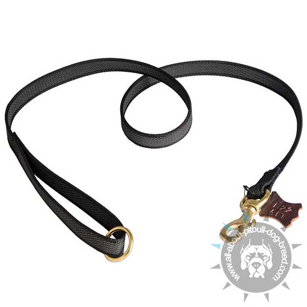 Nylon Pitbull Leash for Effective Training