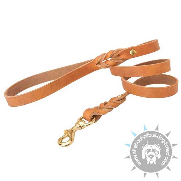 Braided leather dog leash for daily walking