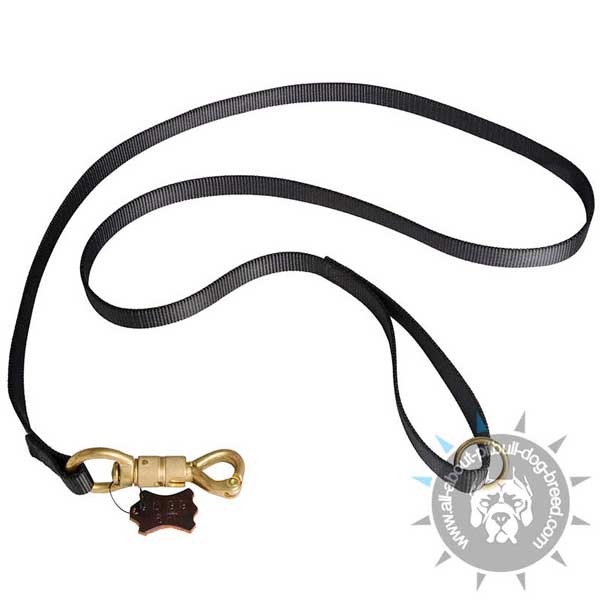 Timeproof Nylon Pitbull Leash