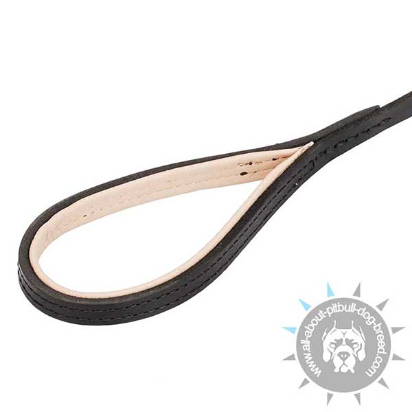 Handmade Leather Dog Leah with Padded Handle