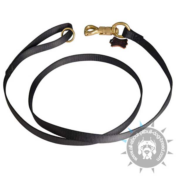 Strong Nylon Pitbull Leash for Any Weather