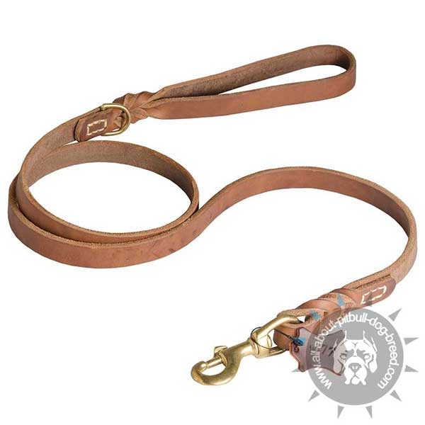 Leather Pitbull Leash for Daily Use