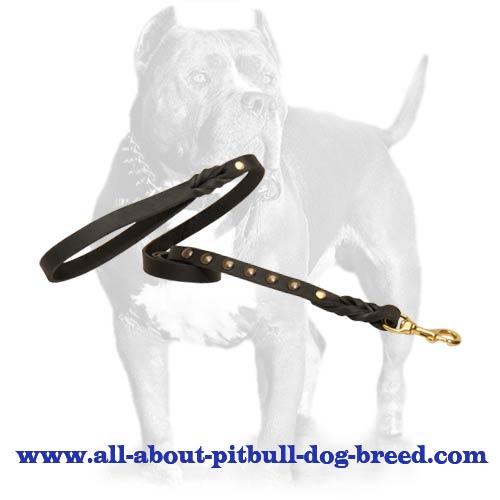 Dog Leather Leash for Showy Outings with Pit Bull