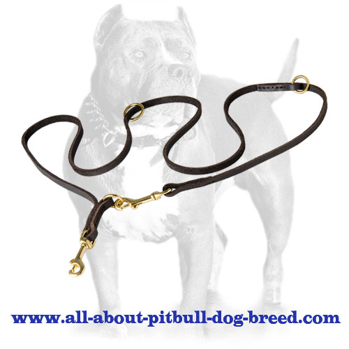 Soft English Leather Pitbull Leash