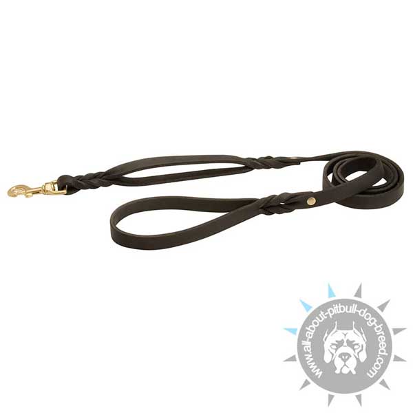 Easy Walk Leash for Better Control