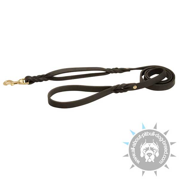 Easy walk dog leash for better control