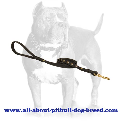 Pitbull Leather Leash with Smoothed Surface