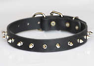 Puppy Spiked Dog Collar- 1 Row of spikes dog collar