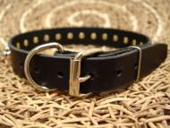 spiked dog collar