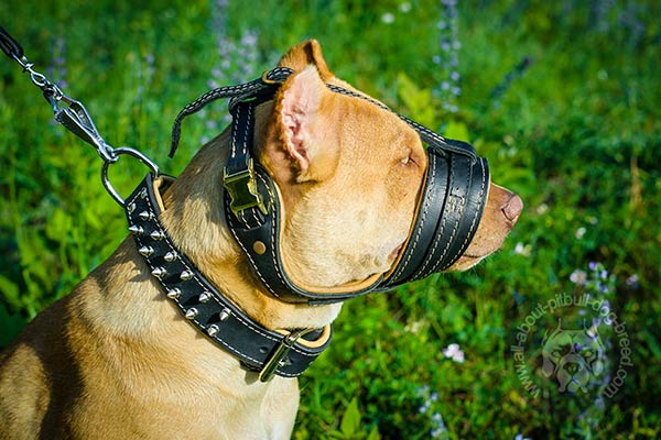 Easy to fit anti-barking Pitbull muzzle
