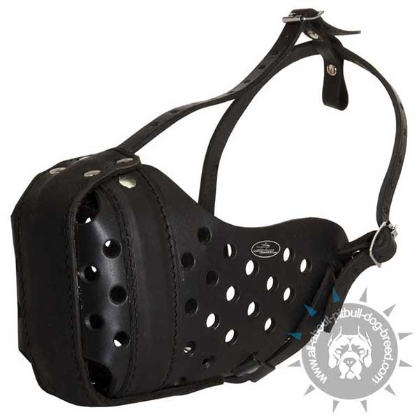  Padded on Nose Leather Muzzle