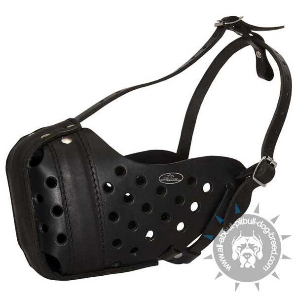 Comfy Leather Dog Muzzle with Breathable Basket