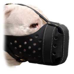Easy walk leather dog muzzle