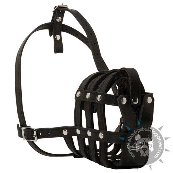 Lightweight Leather Pitbull Muzzle for Dog Training