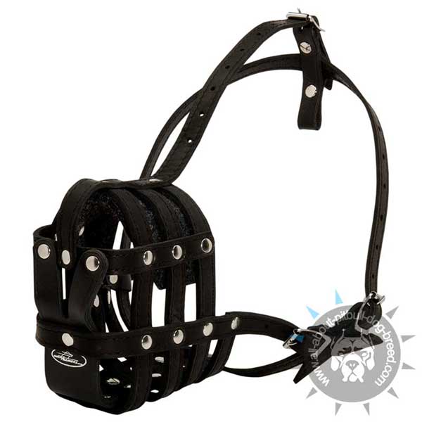 Leather Pitbull Muzzle Secured with Rivets