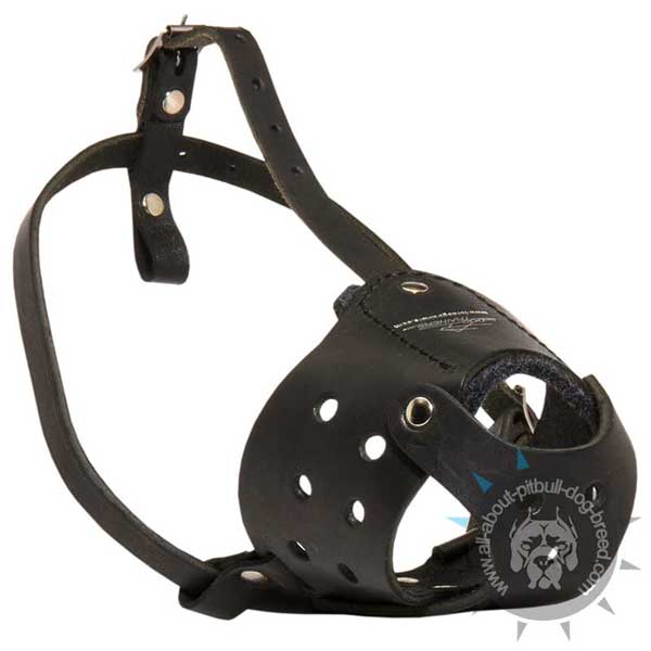 Ventilated Leather Pitbull Muzzle with Special Holes for Breathing