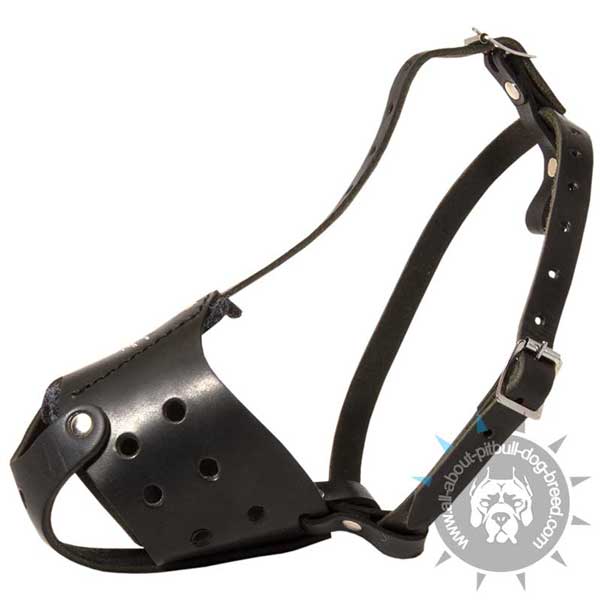 Comfy Walking Leather Pitbull Muzzle with 2 Adjustable Straps