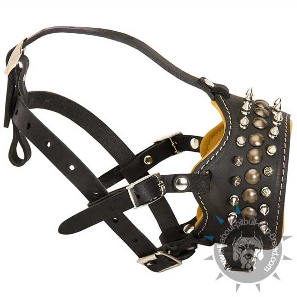 Comfy Walking Leather Pitbull Muzzle with Several Adjustable Straps