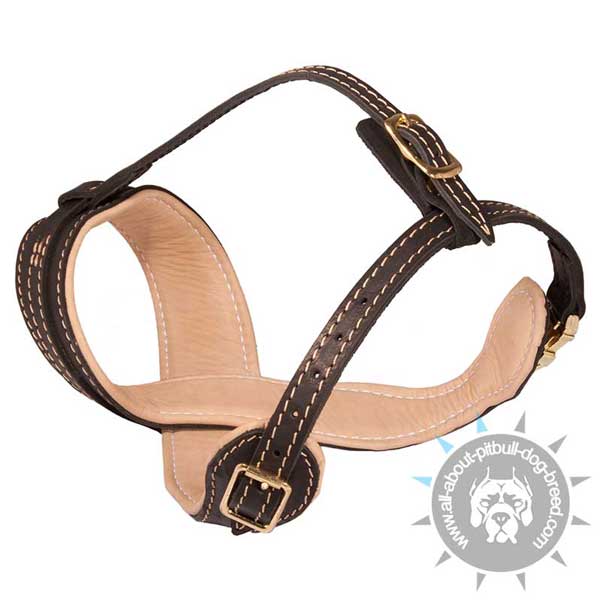 Demandable Leather Dog Muzzle