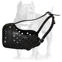 Excellent leather dog muzzle