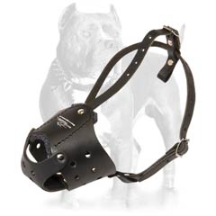 Handmade leather dog muzzle