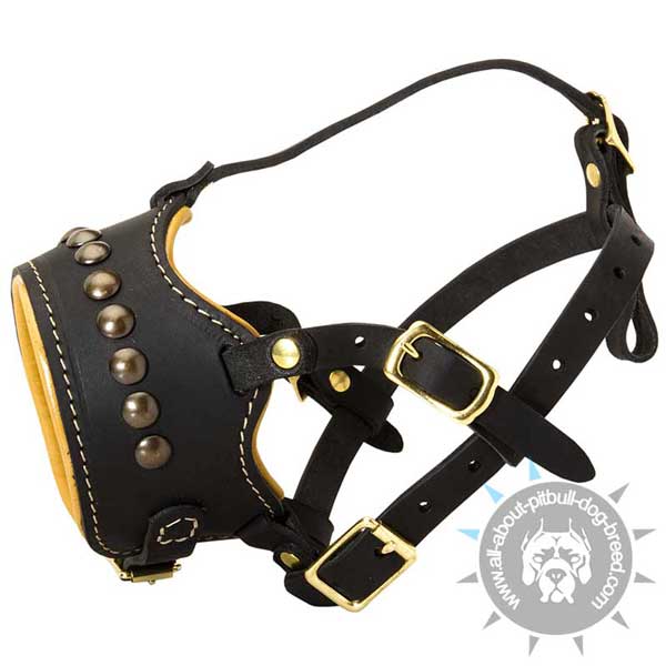 Pit Bull dog muzzle padded inside with soft Nappa leather