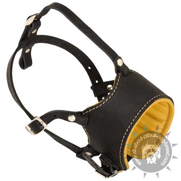 Unique leather dog muzzle for Pit Bull breed
