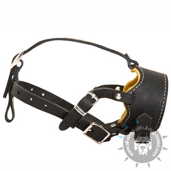 Fashion Pit Bull dog leather muzzle