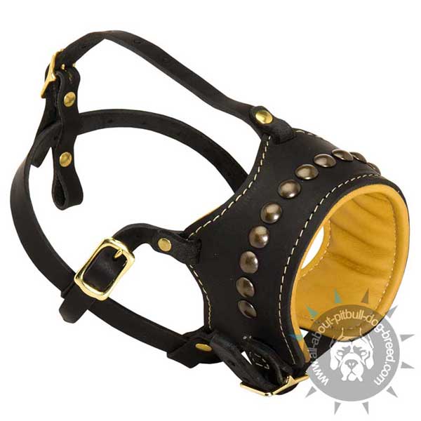 Leather Pit Bull muzzle is ideal for large dogs