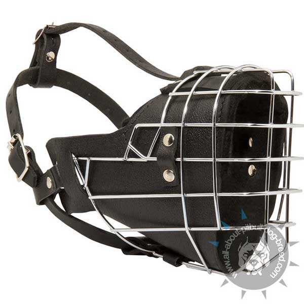 Pitbull metal cage muzzle for hard training