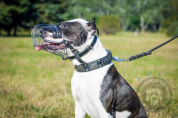 Easy to breathe metal basket muzzle  