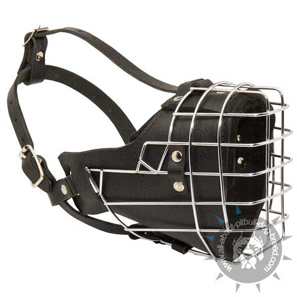 Wire cage Pitbull muzzle with good air circulation 