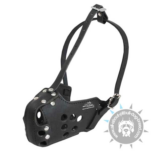 Dog Muzzle Basket Leather Allows for Perfect Venilation