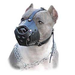 Easy walk leather dog muzzle