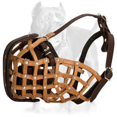 Unique leather dog muzzle for Pit Bull 