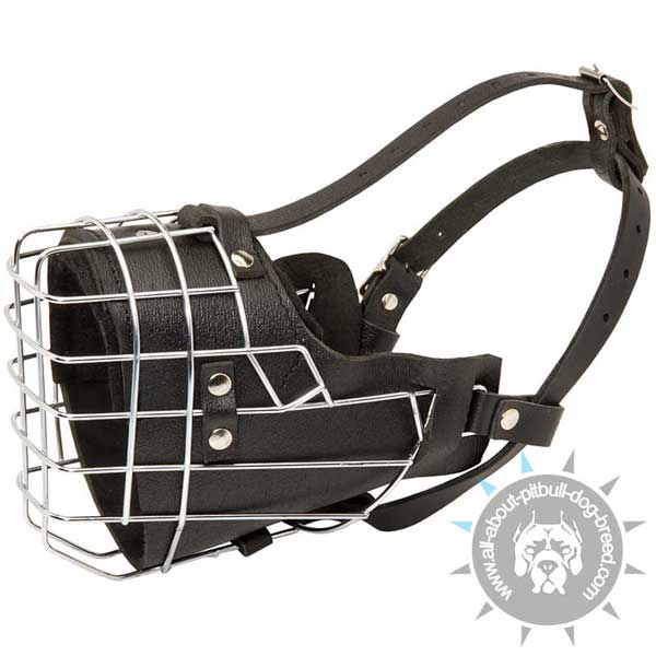 Wire basket Pitbull muzzle with padding