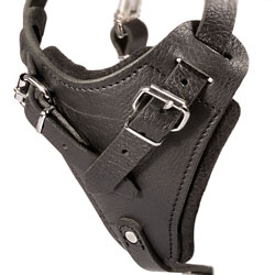 Pitbull harness