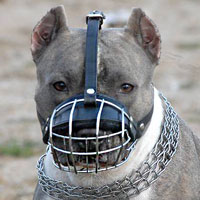 Wire Basket Dog Muzzle for American Pit Bull Terrier customer feedback