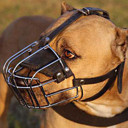 Wire Basket Dog Muzzle