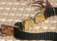 prong dog collar with loop