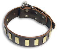 PITBULL Quality Brown collar 22'' /22 inch dog collar - S33p