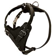 PITBULL Control Dog Harness - H1