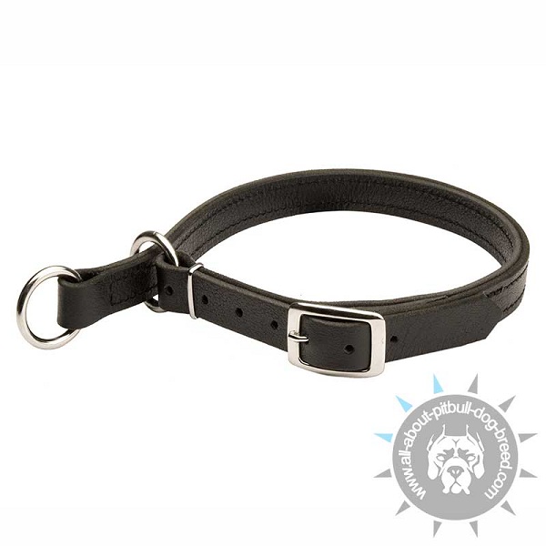 Practical Pitbull Choke Collar Made of Genuine Leather