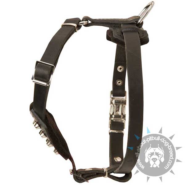 Decorated Leather Harness for Pitbull Puppy