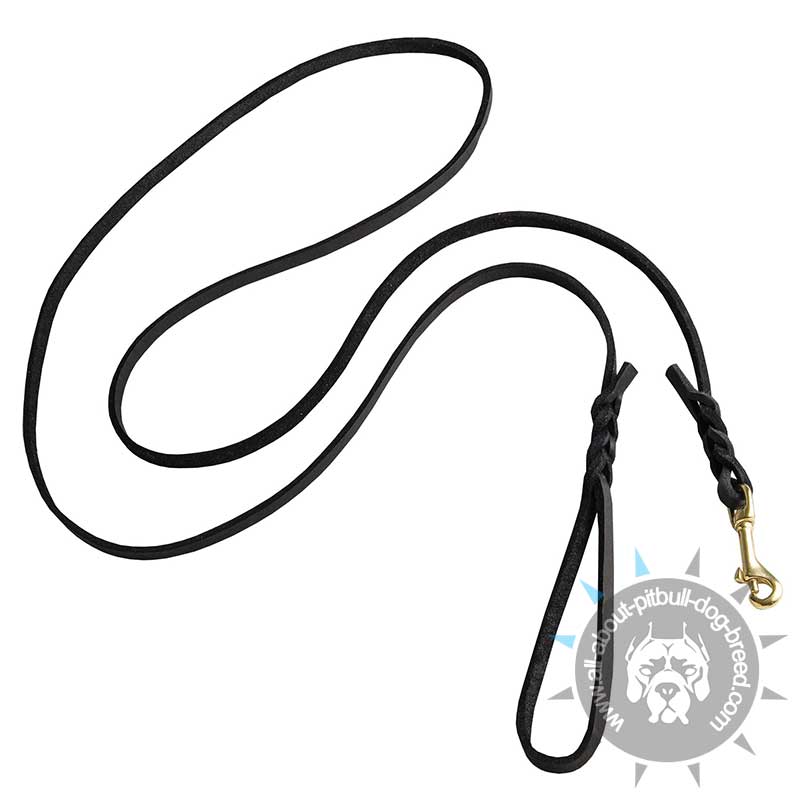 Buy Braided Leather Leash